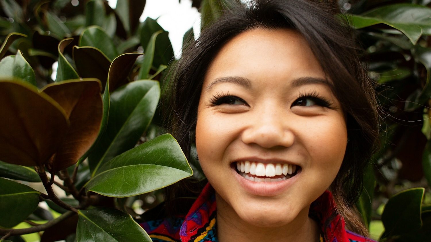 brede neus corrigeren neuscorrectie